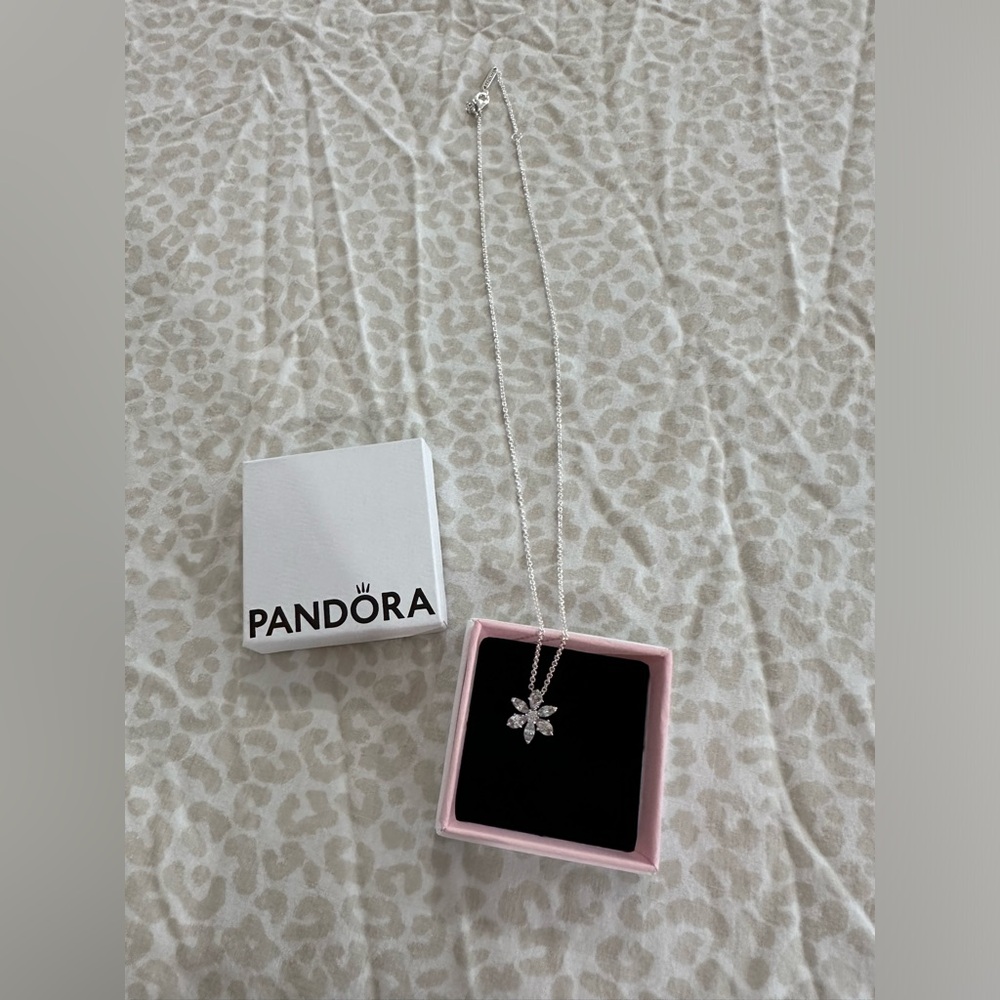 Brand New Pandora Necklace